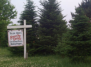 Your family will love this holiday tradition, choose and cut your own real Christmas Tree at Beckwith Christmas Trees--the Christmas Tree Station, Hannibal, NY