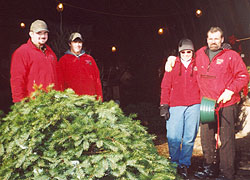 Select your perfect real Christmas tree at Beckwith Family Christmas Trees, choose and cut Christmas outing at the Christmas Tree Station, Hannibal, NY