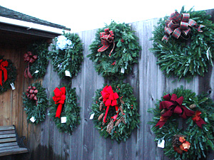 Many, many wreaths to chose from, or have a wreath custom made, from Beckwith Christmas Tree Farm, The Christmas Tree Station, in Hannibal, NY